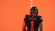 Football Celebration GIF by BC Lions