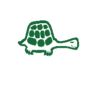 greeneturtle nom digital the greene turtle greene turtle Sticker