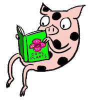 San Francisco Public Library Book Sticker by K-Fai Steele