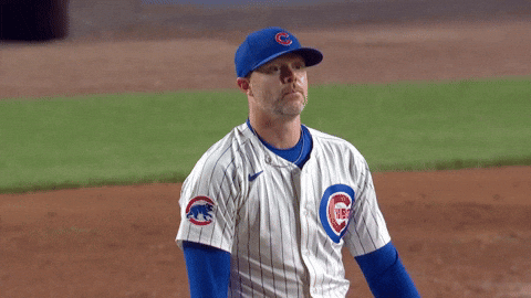 Chicago Cubs Baseball GIF by TheDreamTeam 