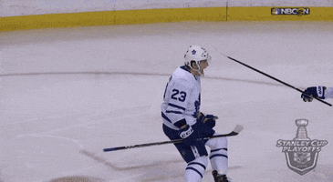 celebrate ice hockey GIF by NHL