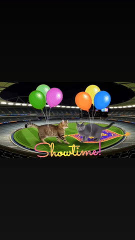 lynettearden showtime GIF