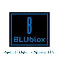 BLUblox blublox Sticker