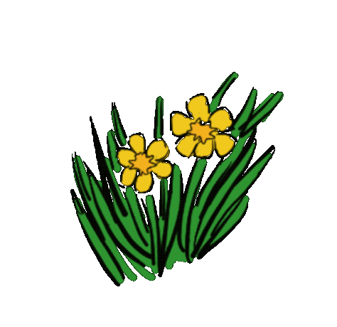 Sticker Flower Sticker