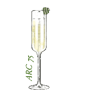 Celebrate Night Out Sticker by fullcircledistillers