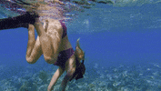 Under Water Swimming GIF by Survivor CBS