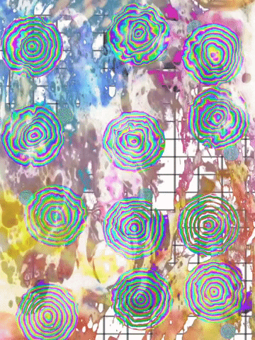 giphyforyou  GIF