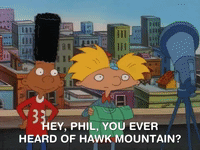 hey arnold nickelodeon GIF