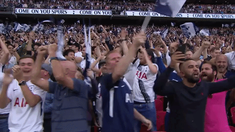 london football GIF by Tottenham Hotspur