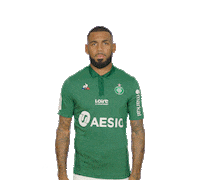 celebration goal Sticker by AS Saint-Etienne