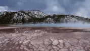 wyoming GIF