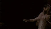 royaloperahouse within the golden hour GIF