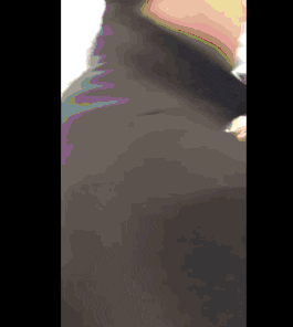 tintuckpop giphyupload GIF