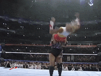 wwe sports wwe wrestling 1994 GIF