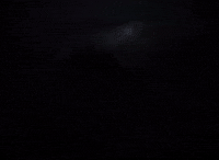 Walt Disney GIF