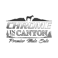 Sticker by MM Auction Services, LLC