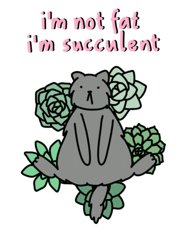 christineluong giphyupload love cat food Sticker