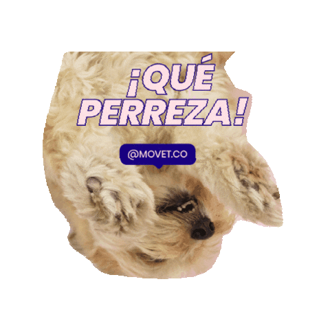 Sticker by Movet
