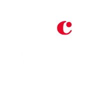 Christmaspresent Regalonavidad Sticker by Cocunat