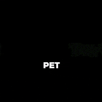 tailwagginuae tailwaggin GIF