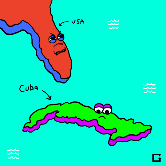 cuba beef squashed GIF by gifnews