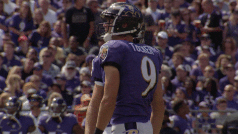 Happy National Football League GIF by Baltimore Ravens