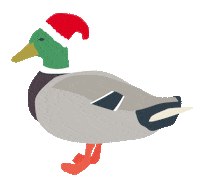 Seasons Greetings Christmas Sticker by University of York