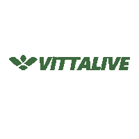 vittalive white green marca frase Sticker