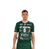 3-1 Virtu Sticker by Aluron CMC Warta Zawiercie