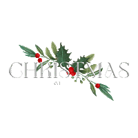 Christmas Sticker by Meck Church