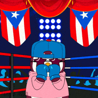 Puerto Rico Knockout GIF by Pengu Asia