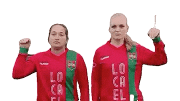 Haarlem Sticker by DSS Voetbal