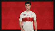 Vfb Stuttgart Football GIF by Bundesliga