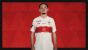Vfb Stuttgart Football GIF by Bundesliga