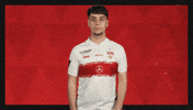 Vfb Stuttgart Applause GIF by Bundesliga