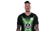 Daniel Ginczek Sticker Sticker by VfL Wolfsburg