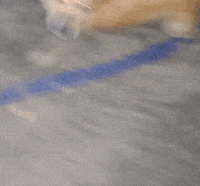 Dog Run GIF