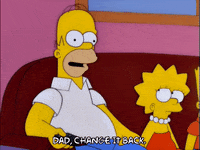 homer simpson GIF