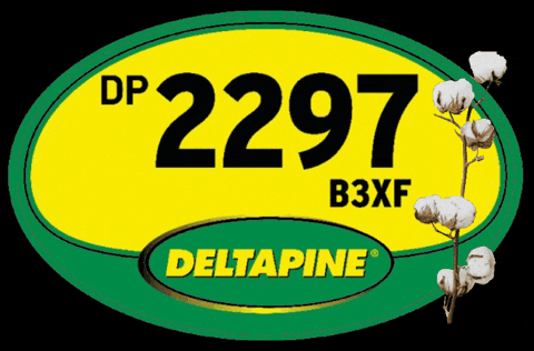 Deltapine GIF by Bollgard