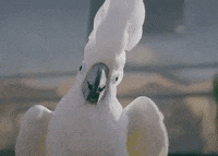 Dumdi Dumdi GIF by (G)I-DLE