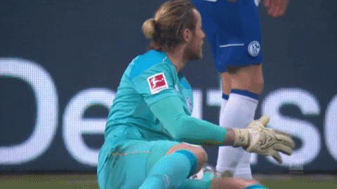 Go Team Football GIF by FC Schalke 04