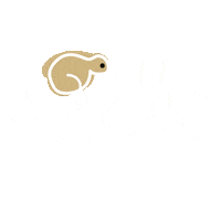 New Zealand Auckland Sticker by efmoment