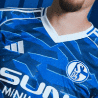Football Soccer GIF by FC Schalke 04