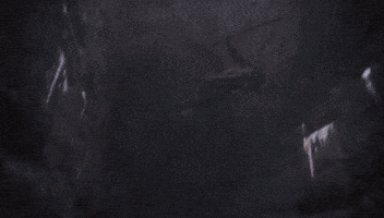 from software sekiro GIF