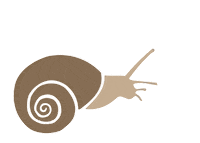 Snail Naturalhistorymuseum Sticker by NHM Wien