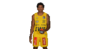 Ewe Baskets Sport Sticker by EWE Baskets Oldenburg