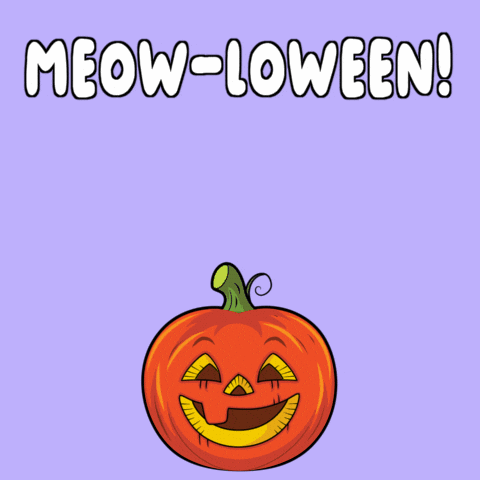 Cat Halloween GIF by VeeFriends