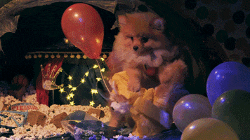 Craig Robinson Lol GIF by Gunpowder & Sky