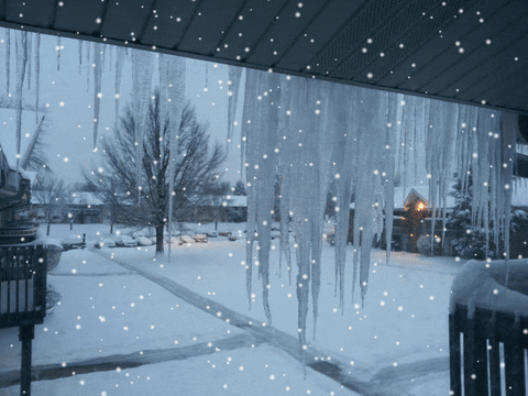 Photo gif. Snow falls down on a snowy backyard. Big icicles hang from the awning on the house. 
