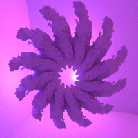 render virtual reality GIF